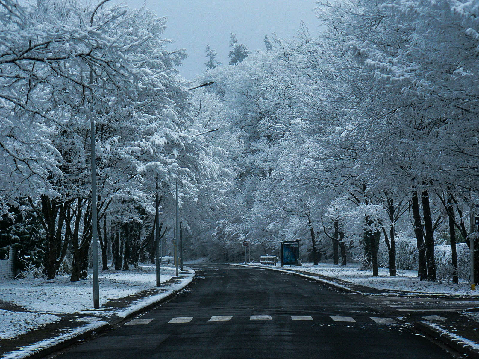 Panasonic DMC-FZ5 sample photo. Jour de neige photography