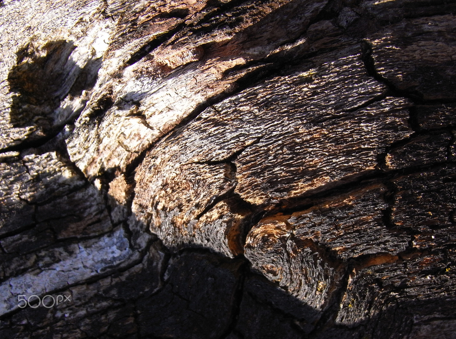 Ricoh Caplio R7 sample photo. Cracking up photography