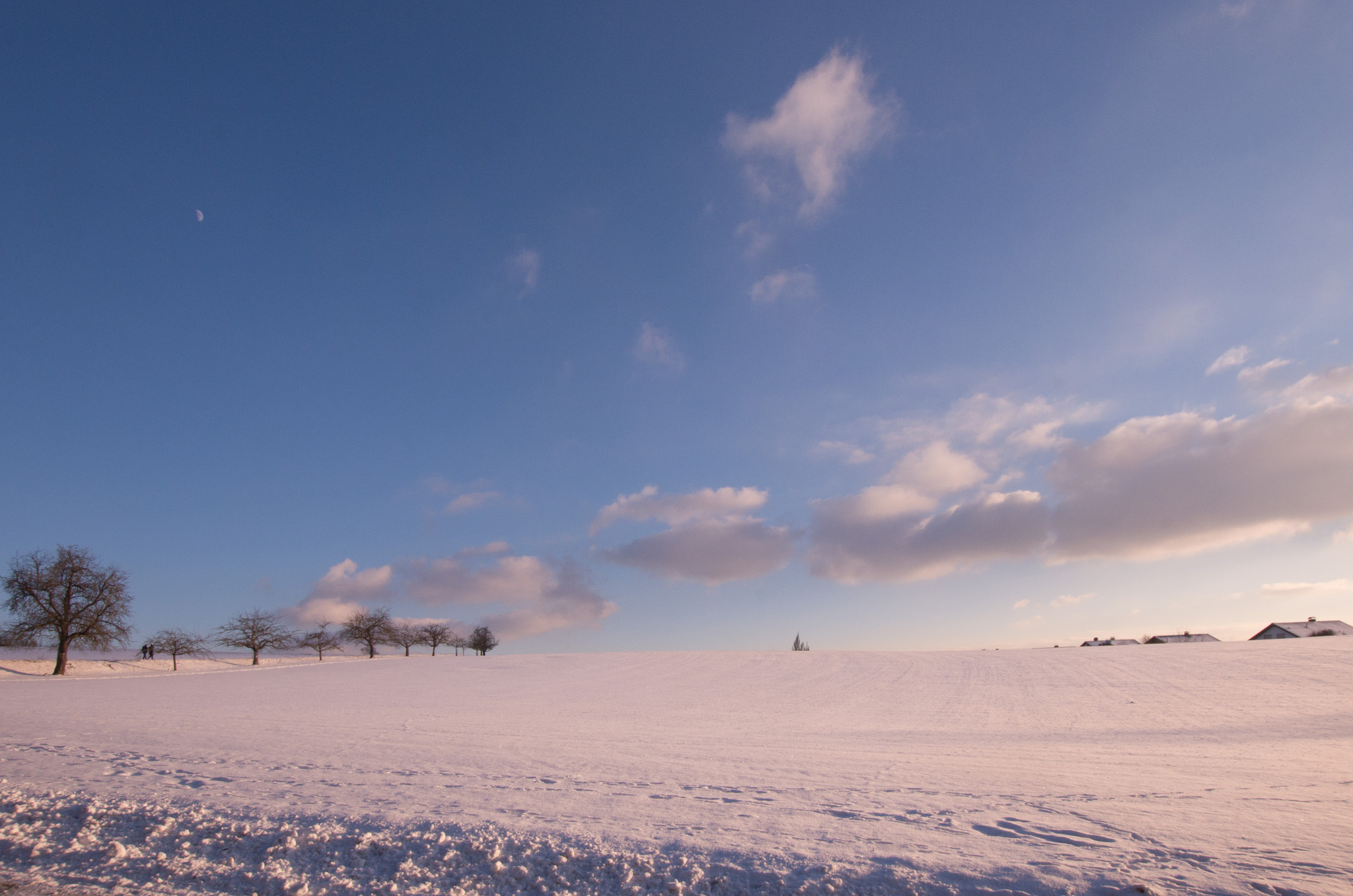 Sigma 10-20mm F3.5 EX DC HSM sample photo. Snowy fields photography