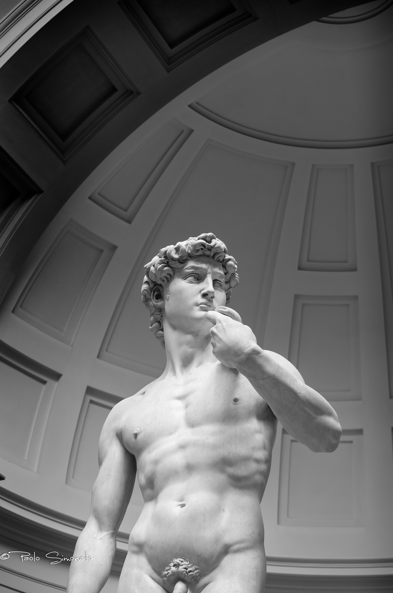 Pentax K-50 sample photo. David di michelangelo buonarroti photography