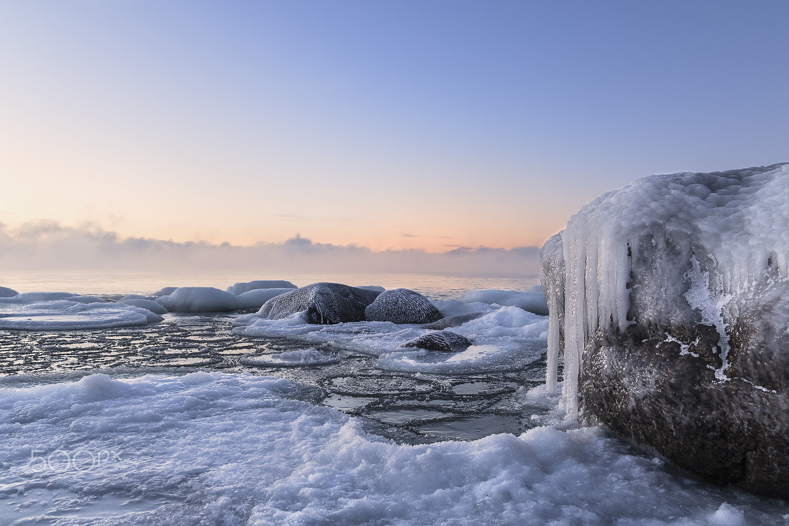 Sigma 18-50mm f/2.8 Macro sample photo. Frozen photography