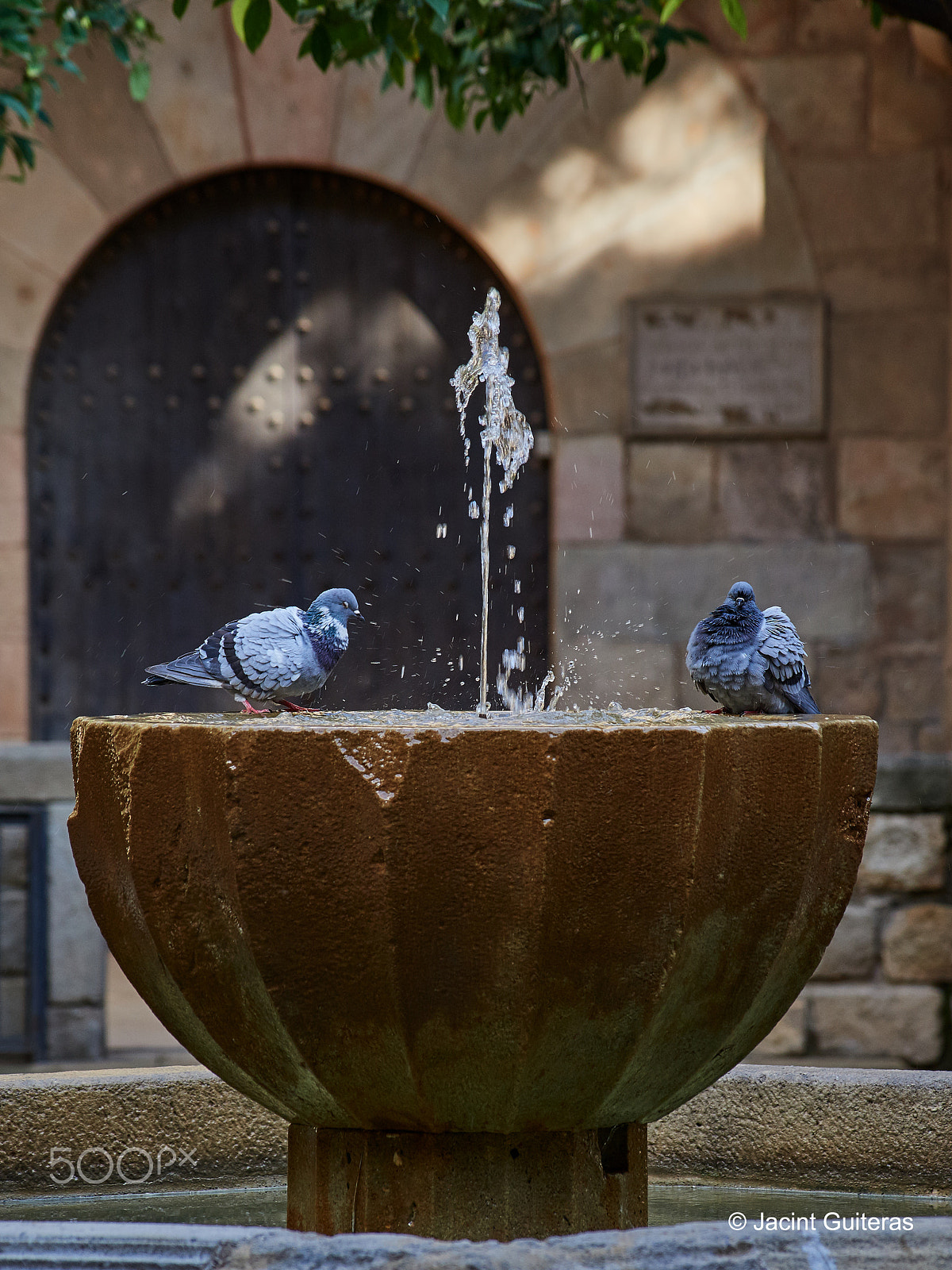 Olympus OM-D E-M5 II + Olympus M.Zuiko Digital ED 12-100mm F4.0 IS Pro sample photo. Bathing photography