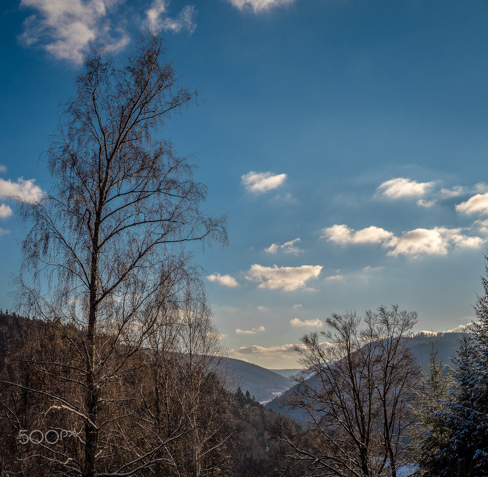 Panasonic Lumix DMC-GX8 + Panasonic Leica DG Summilux 25mm F1.4 II ASPH sample photo. Enztal photography