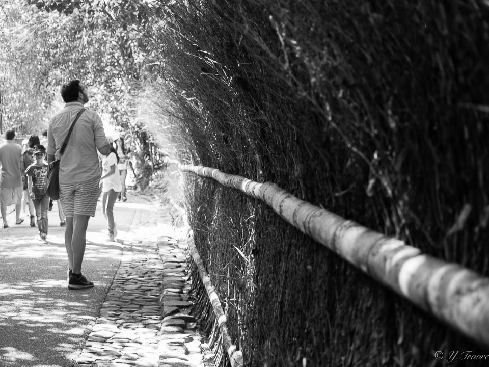 Olympus PEN E-PL5 sample photo. Canadian traveler in kyoto photography