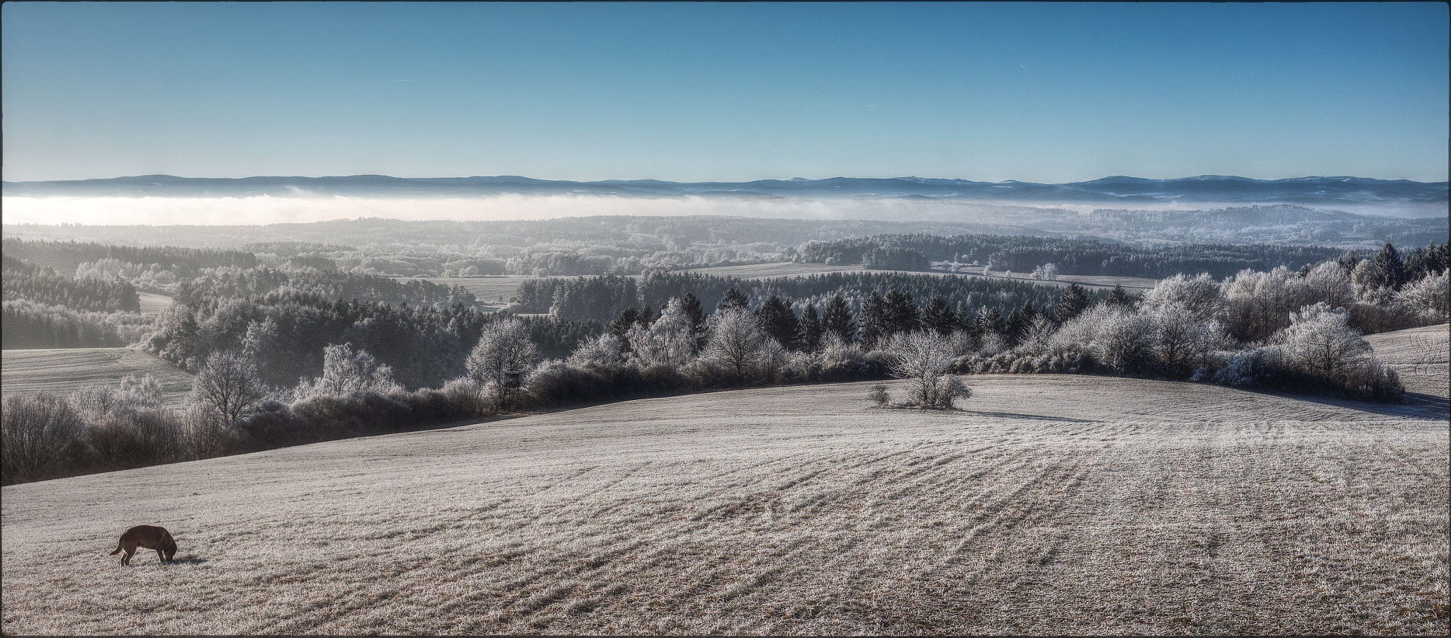 Fujifilm X-T1 + Fujifilm XF 27mm F2.8 sample photo. Inversion under sumava photography