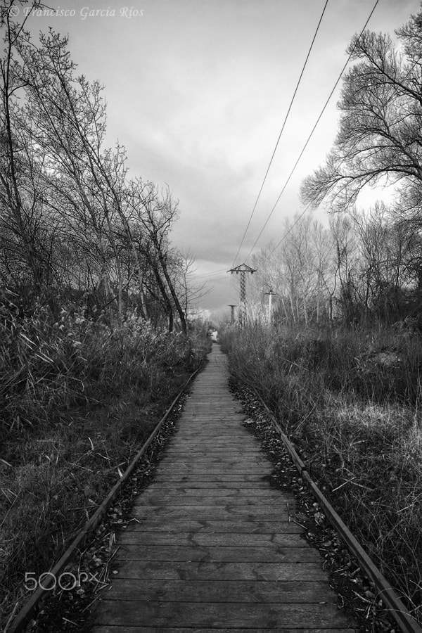 Canon EOS 50D sample photo. The planked path. photography