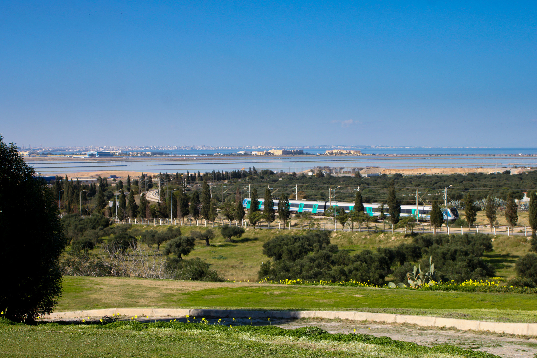 Canon EF 28-80mm f/3.5-5.6 sample photo. Tunisia - monastir -flamingo golf photography