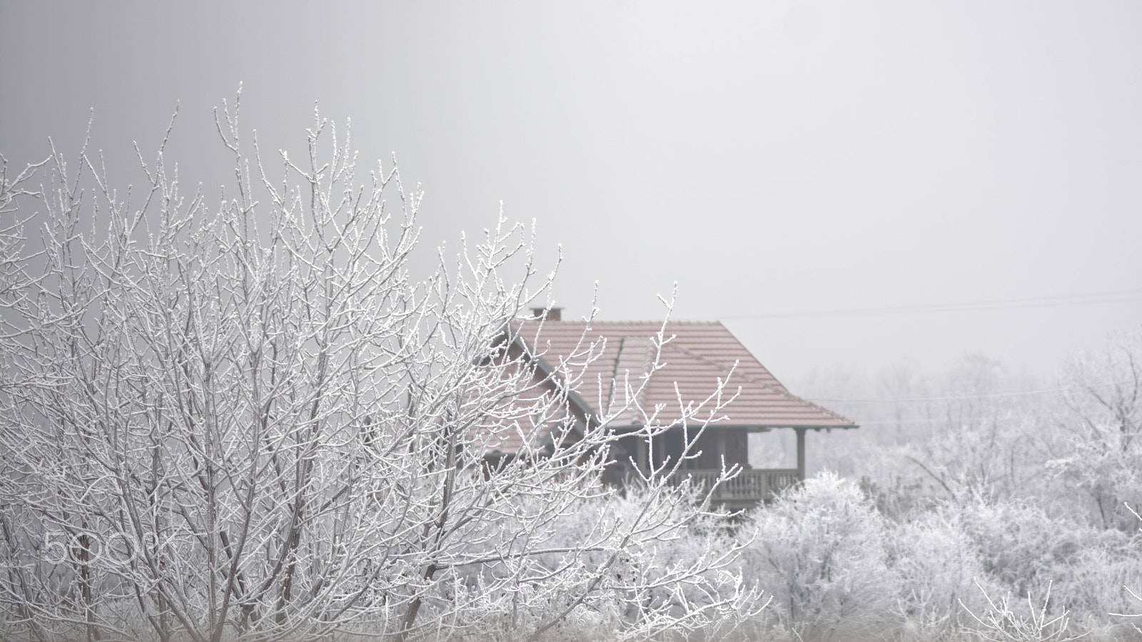 AF Nikkor 180mm f/2.8 IF-ED sample photo. Shelter photography