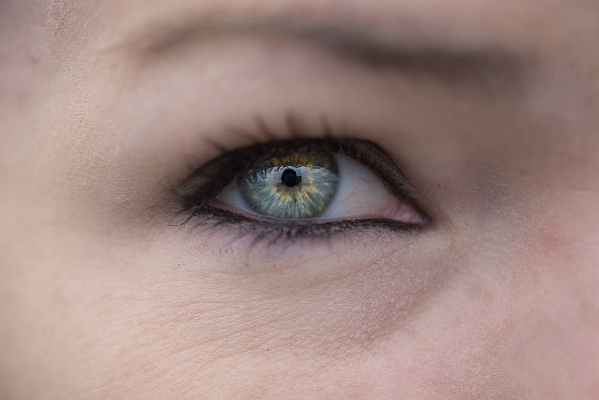 Tokina AT-X Pro 100mm F2.8 Macro sample photo. Blue or green? photography