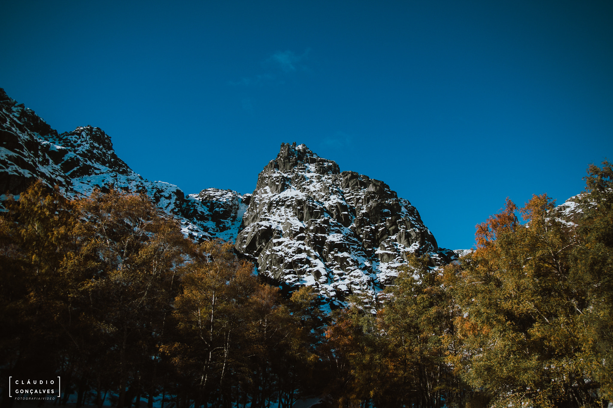 Sigma 17-70mm F2.8-4 DC Macro OS HSM sample photo. Claudiogonçalvesfotografia photography