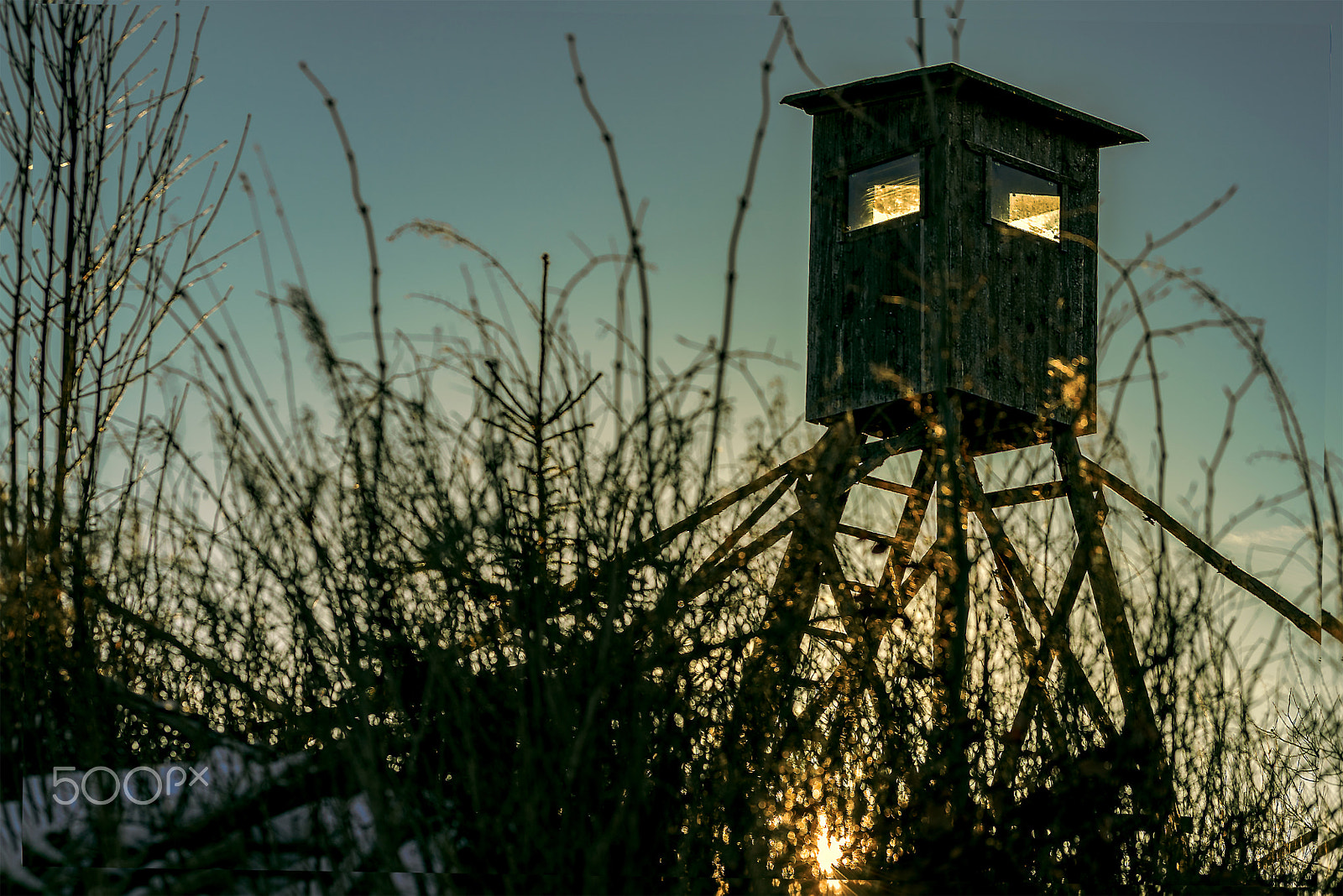 Sigma 105mm F2.8 EX DG OS HSM sample photo. Wonderful harz - evening sun photography
