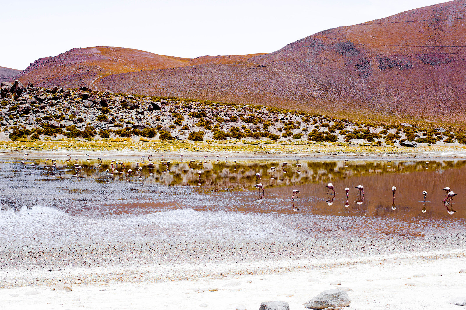Canon EOS 6D + ZEISS Planar T* 50mm F1.4 sample photo. Atacama photography