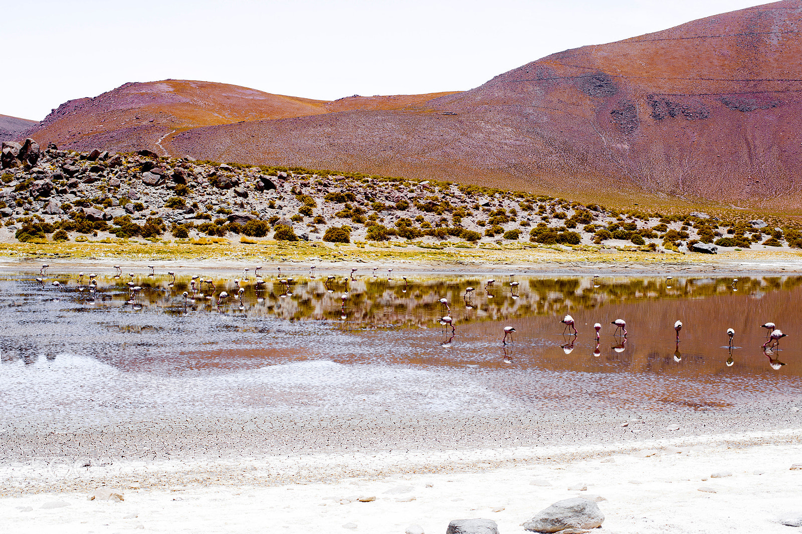 ZEISS Planar T* 50mm F1.4 sample photo. Atacama photography