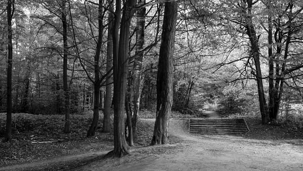 作例付き　MINOLTA AF 24mm F2.8 管mpr 作例付き MINOLTA AF 24mm F2.8 管mpr 作例付き MINOLTA AF 24mm
