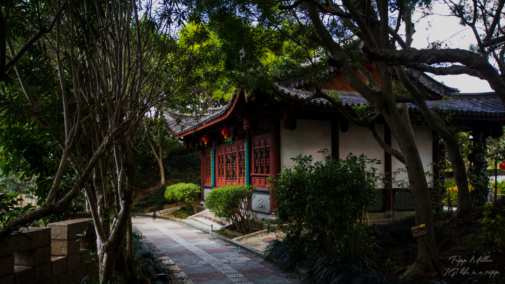Sigma 10-20mm F3.5 EX DC HSM sample photo. Fukushen photography