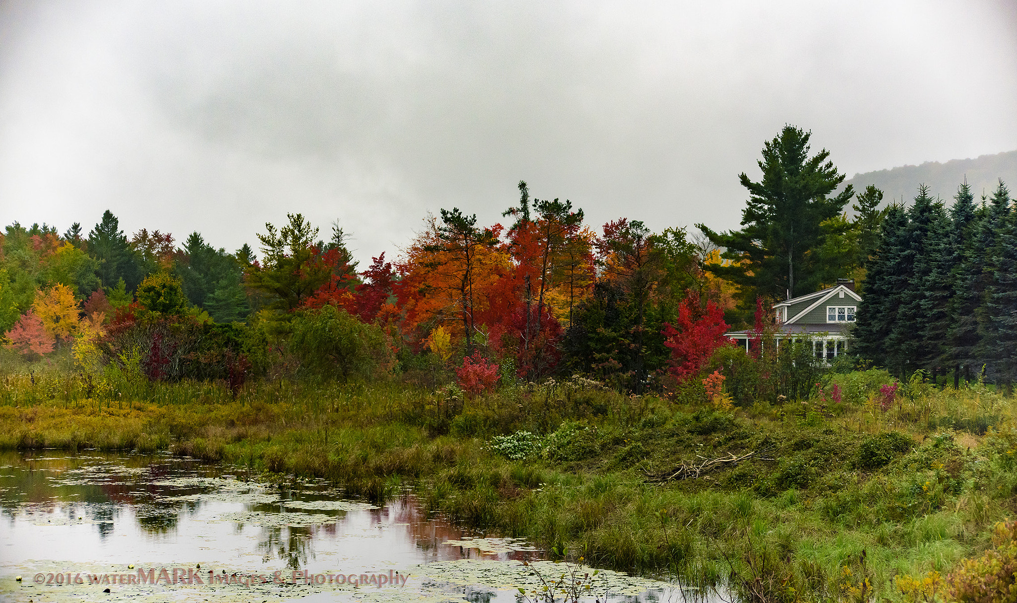 Nikon D810 sample photo. Morning mist photography