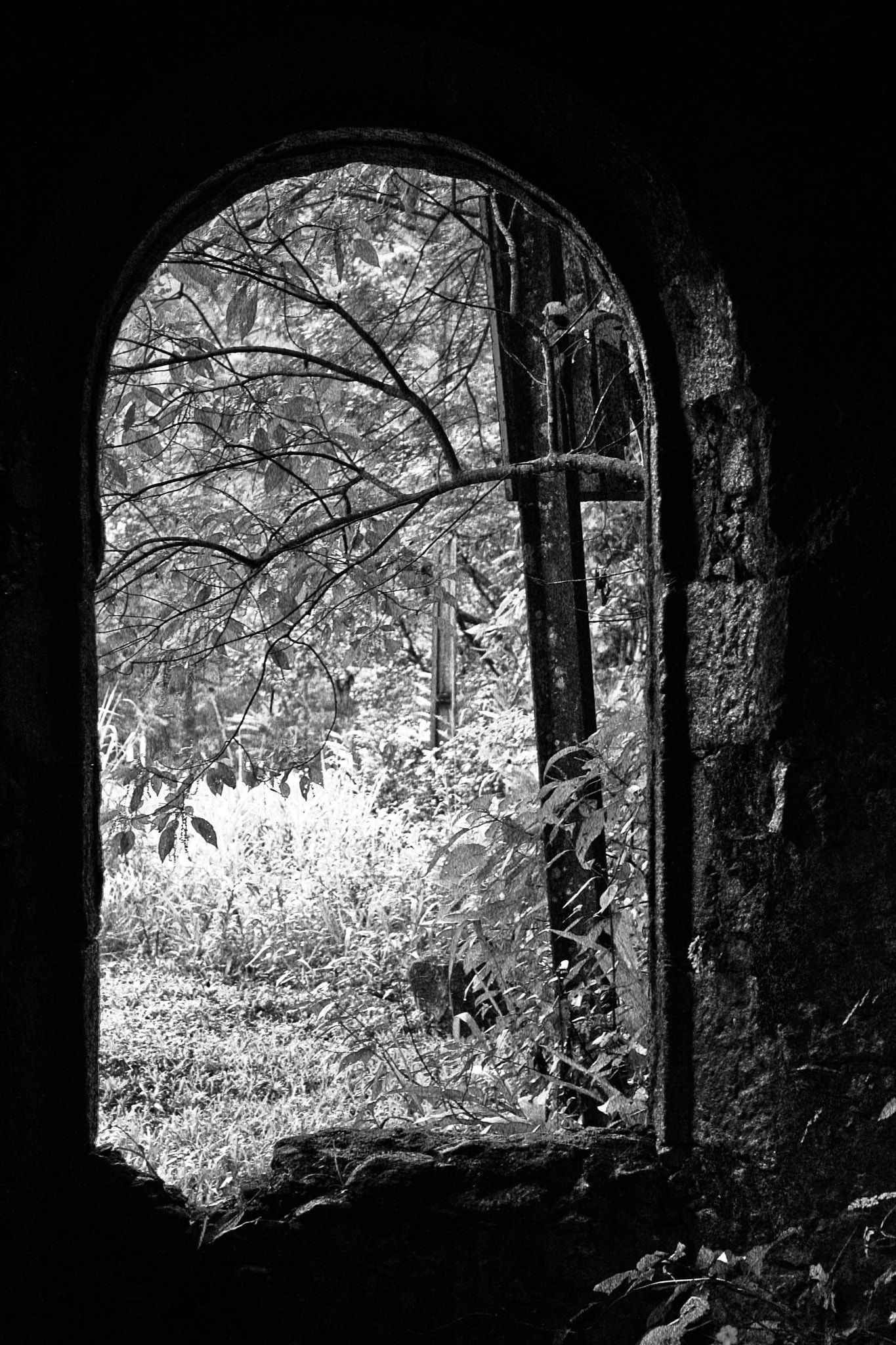 Canon EOS 40D sample photo. Window to your soul photography