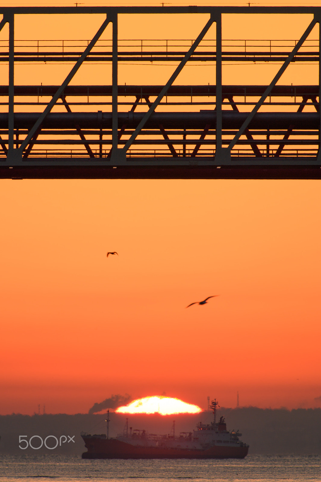 Nikon AF-S Nikkor 200-500mm F5.6E ED VR sample photo. Departure time photography