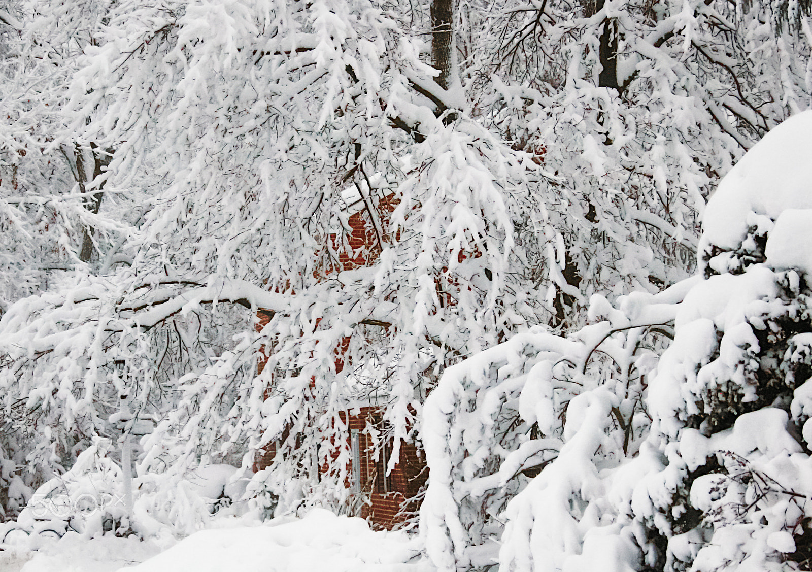 Canon EF 28-300mm F3.5-5.6L IS USM sample photo. Pure snow photography