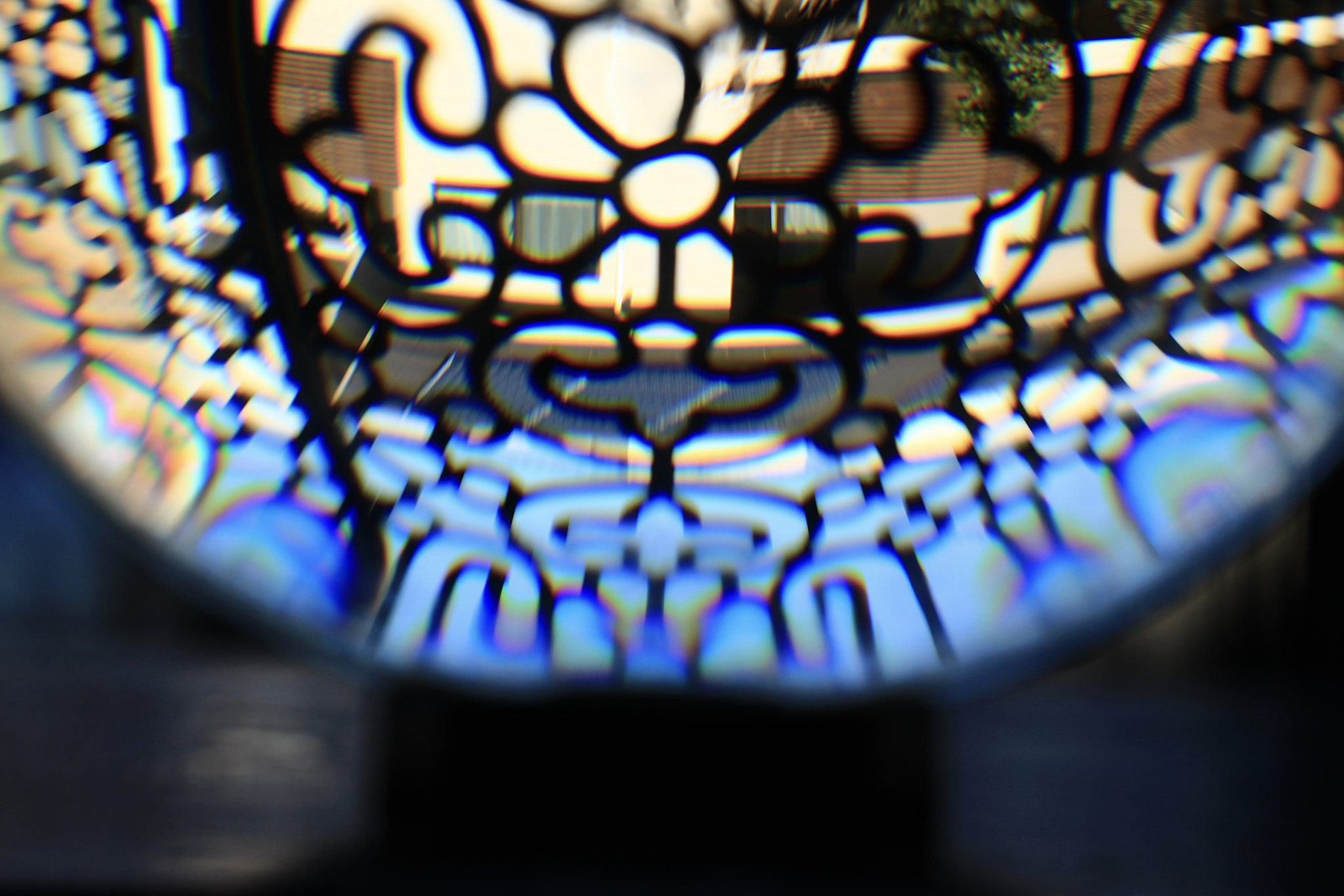 Canon EOS 700D (EOS Rebel T5i / EOS Kiss X7i) sample photo. Through a magnifying glass photography
