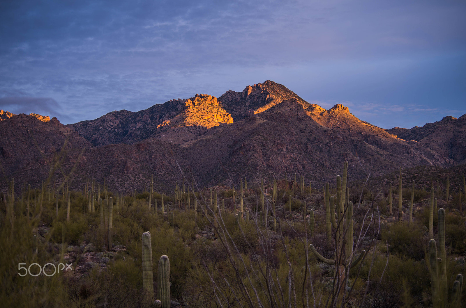 Pentax K-50 sample photo. Early morning light photography