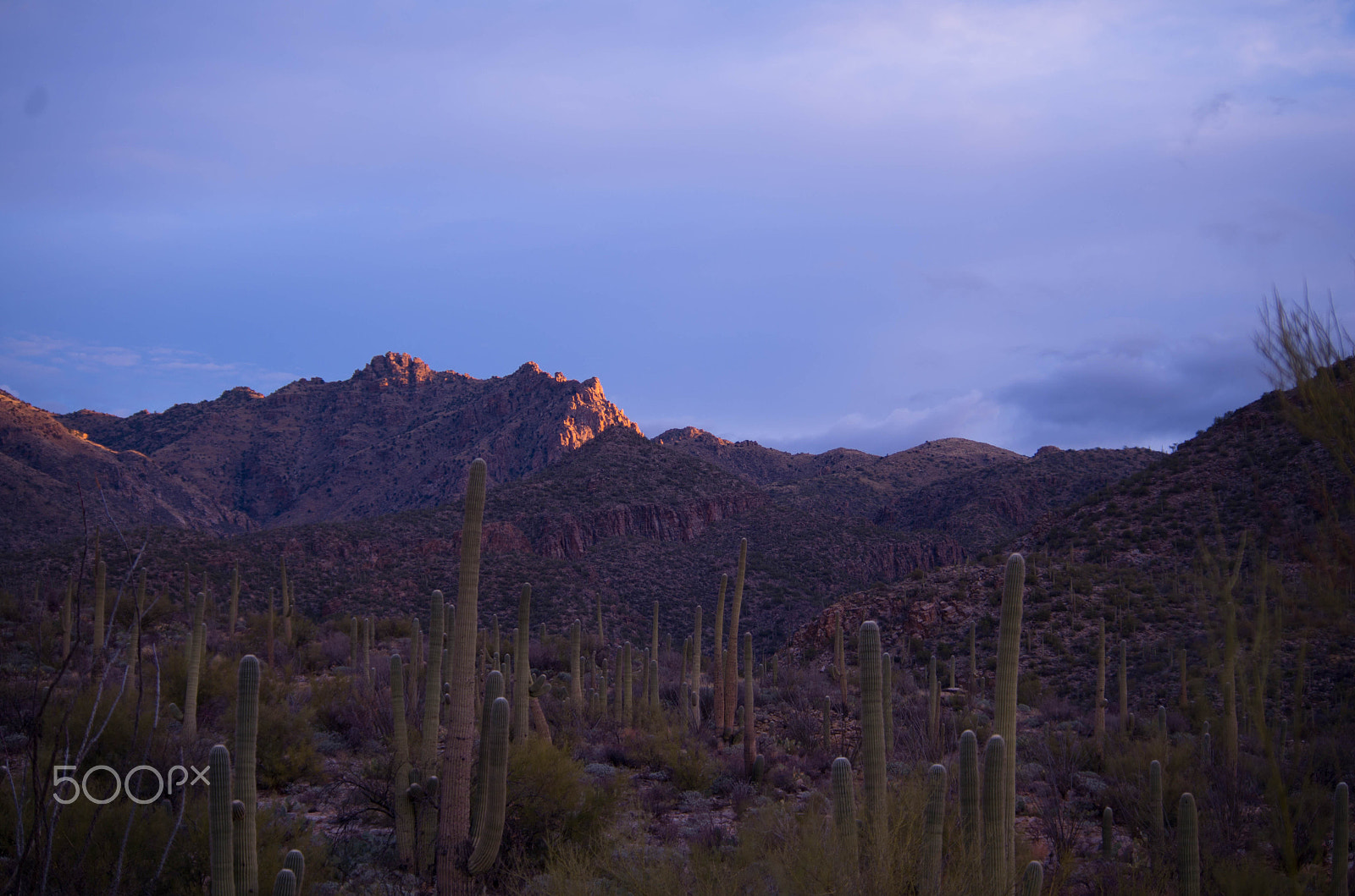 smc Pentax-DA L 50-200mm F4-5.6 ED WR sample photo. Early morning on the catalinas photography