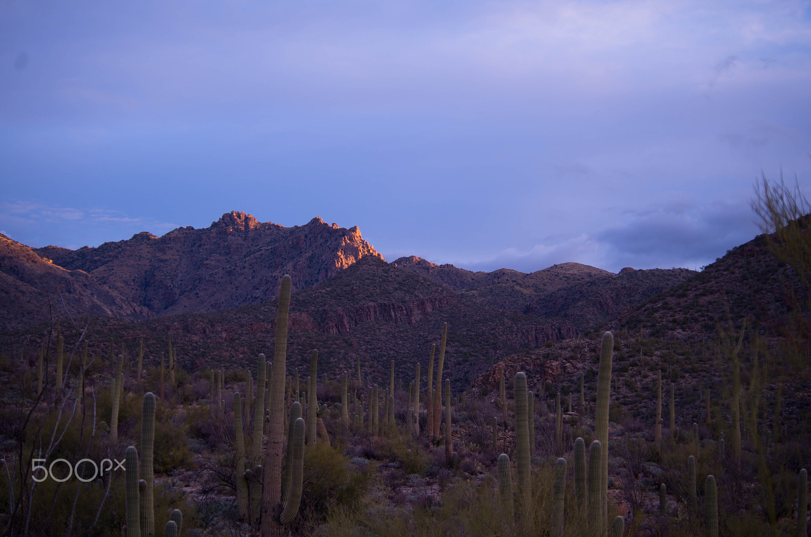 Pentax K-50 + smc Pentax-DA L 50-200mm F4-5.6 ED WR sample photo. Early morning on the catalinas photography