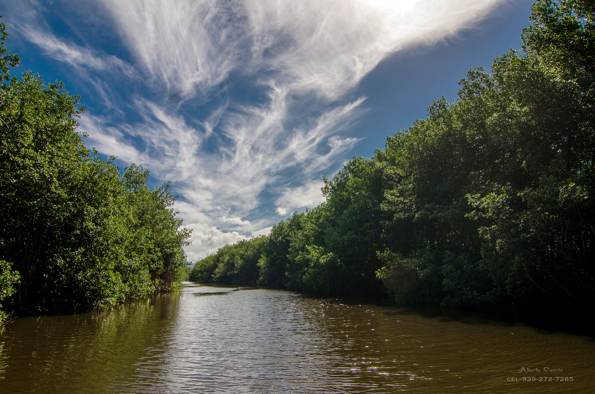 Tokina AT-X Pro 12-24mm F4 (IF) DX sample photo. Rio espíritu santo photography