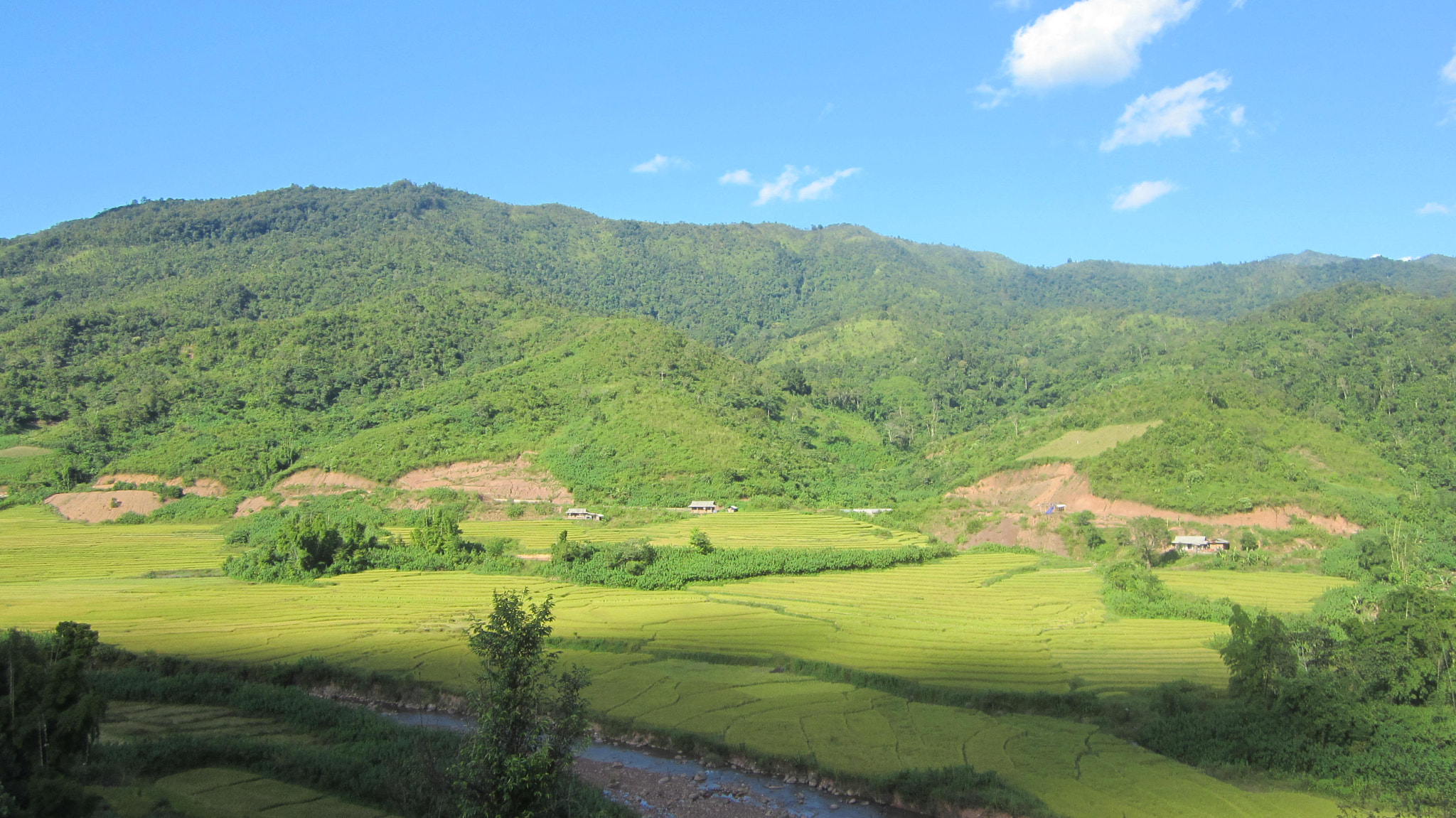 Canon PowerShot ELPH 100 HS (IXUS 115 HS / IXY 210F) sample photo. Muong nhe nature reserve in dien bien province photography