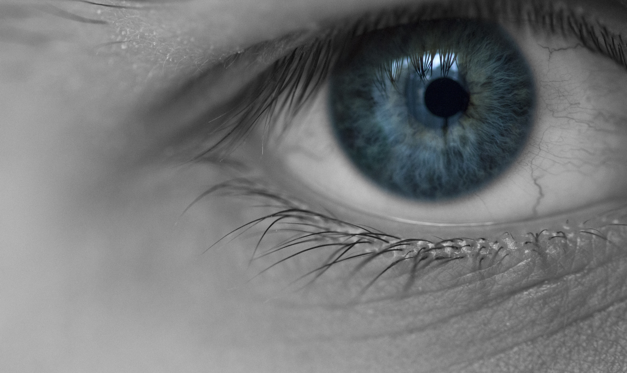 Sigma 105mm F2.8 EX DG OS HSM sample photo. Eye photography