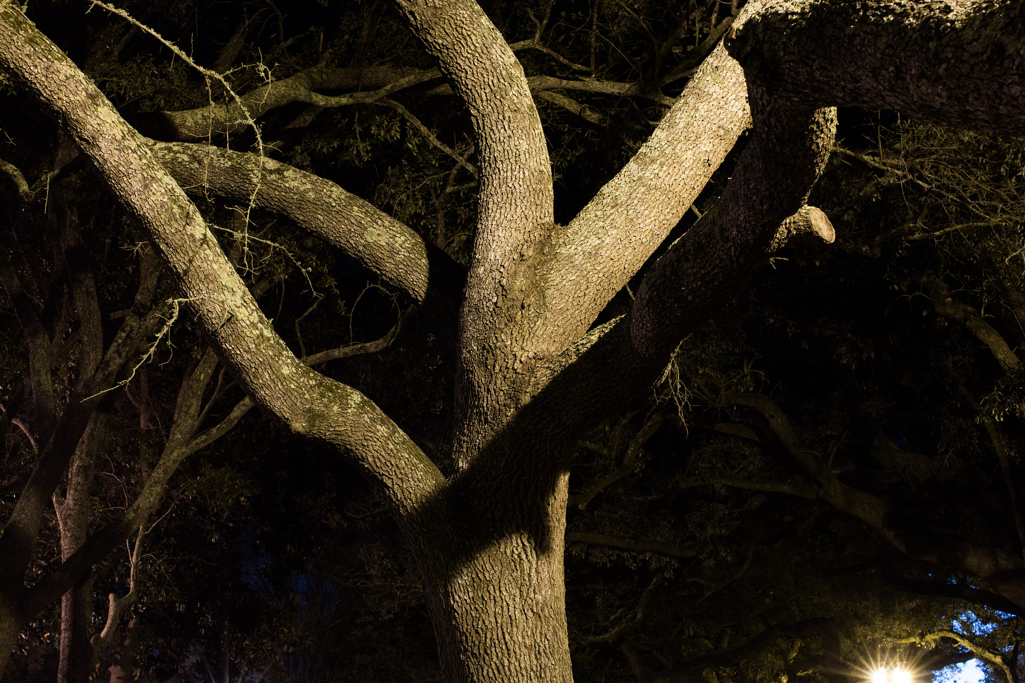 Sigma 30mm F1.4 EX DC HSM sample photo. Shadows photography