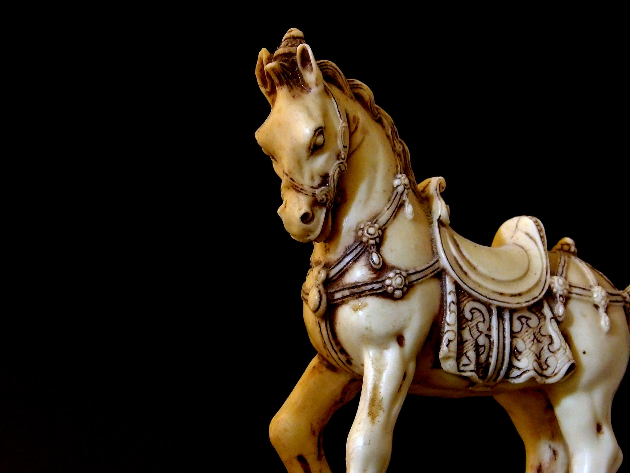 JK KODAK PIXPRO AZ525 sample photo. Ivory steed photography