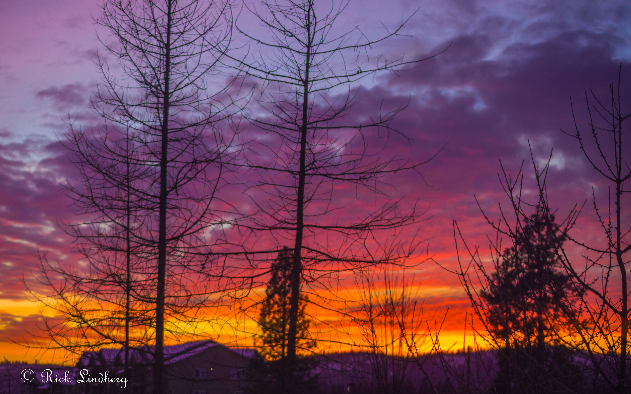 Pentax K-5 sample photo. Purple haze photography