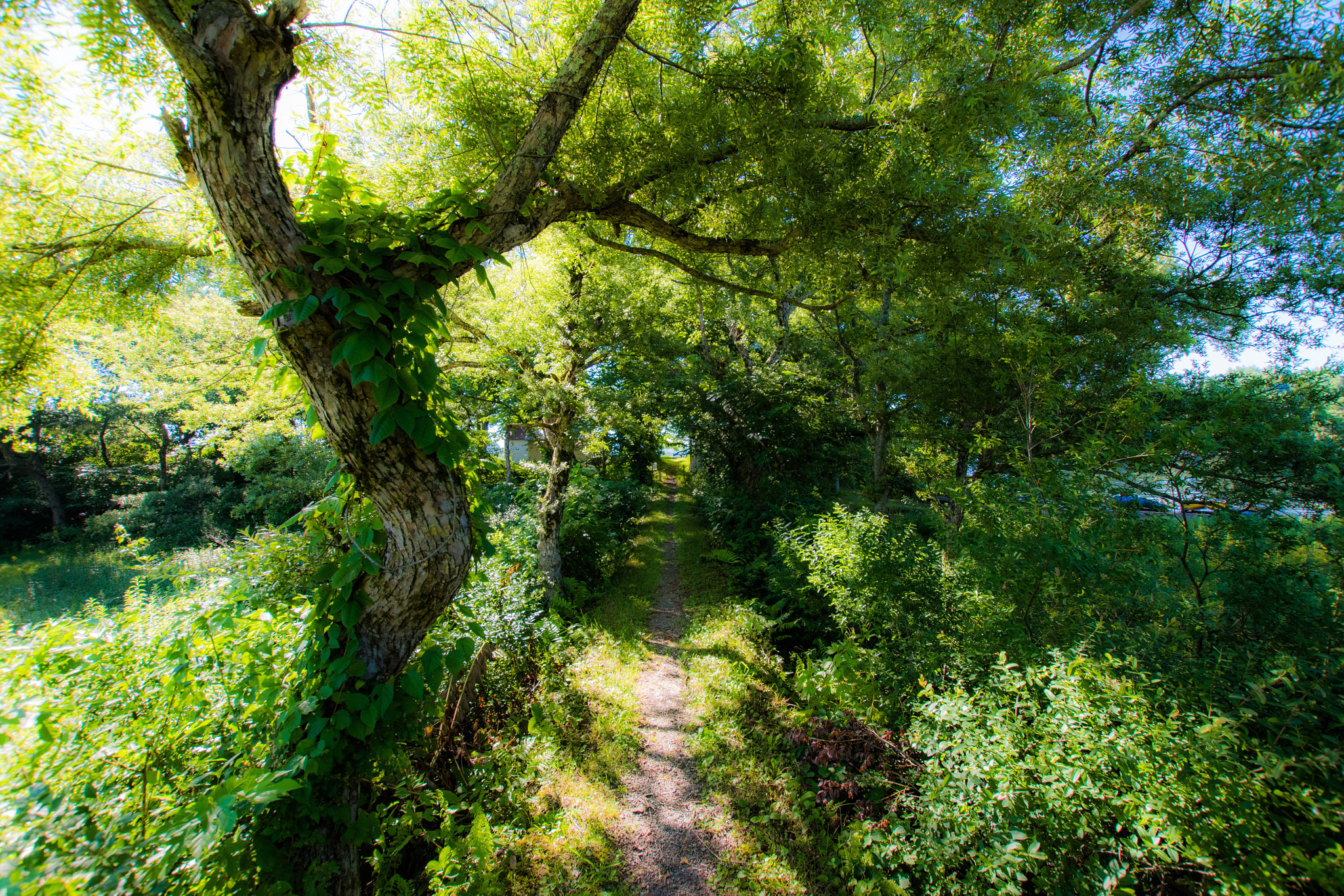 Nikon D5500 + Sigma 10-20mm F3.5 EX DC HSM sample photo