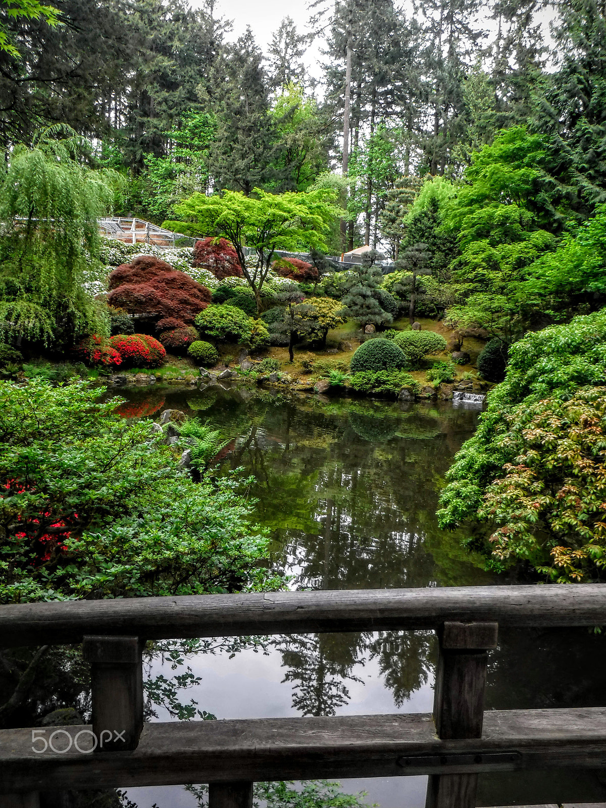 Fujifilm FinePix XP80 XP81 XP85 sample photo. Japanese garden photography