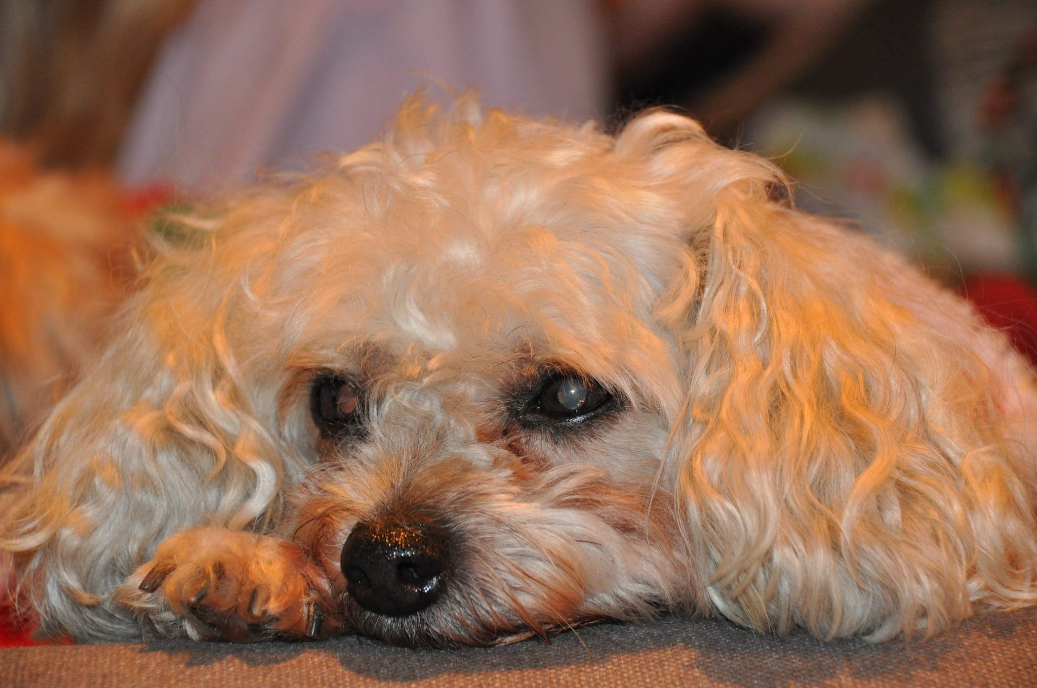 Nikon D5000 sample photo. Sam photography