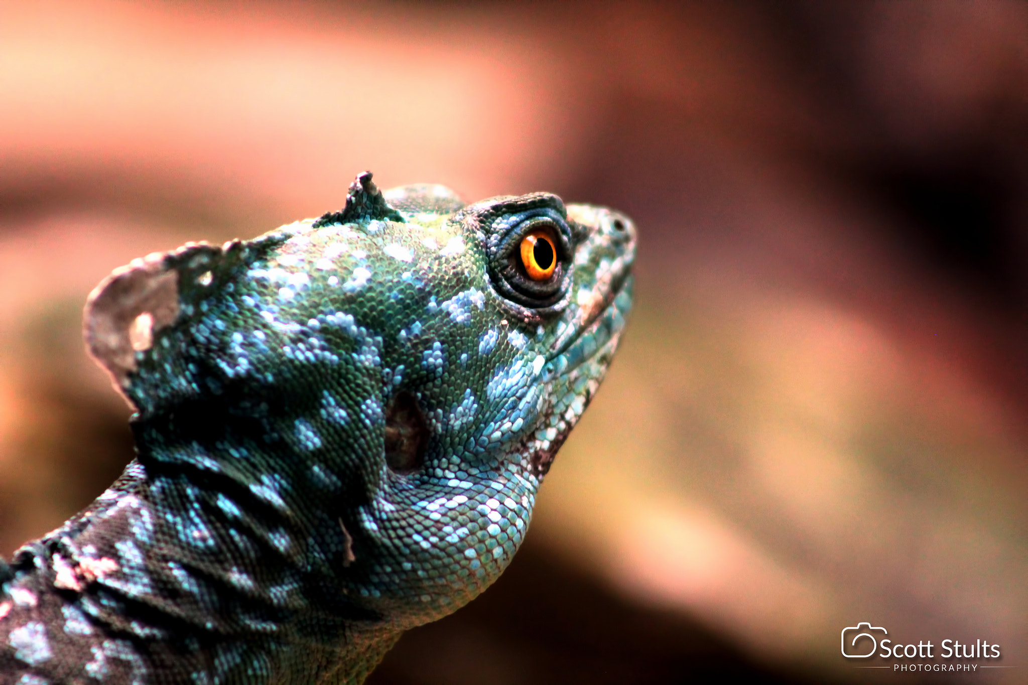 Canon EF 75-300mm f/4-5.6 USM sample photo. Img photography