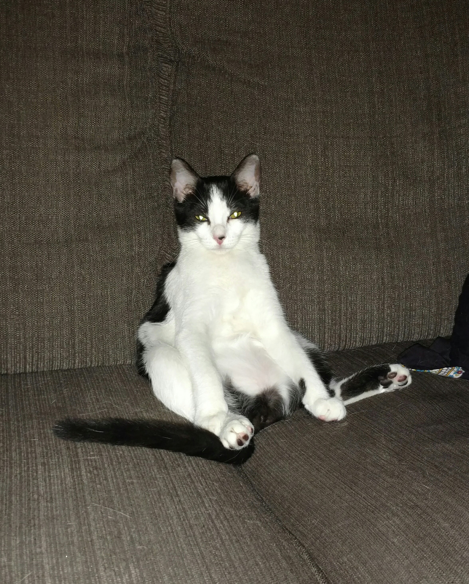 Motorola Moto X Pure Edition sample photo. You can't sit like this in mixed company photography