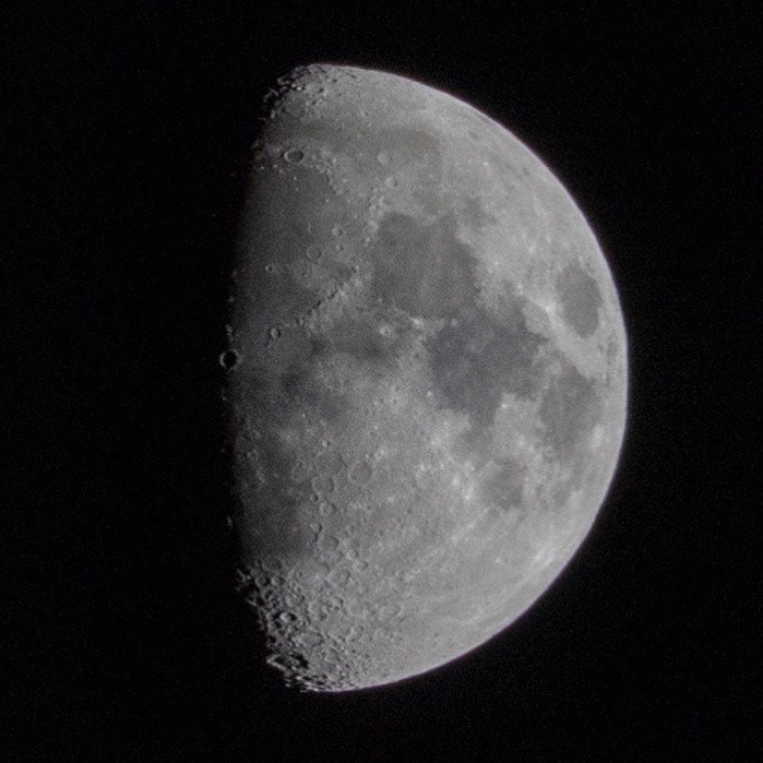 Sigma 18-250mm F3.5-6.3 DC OS HSM sample photo. Yep got the good side of her. photography