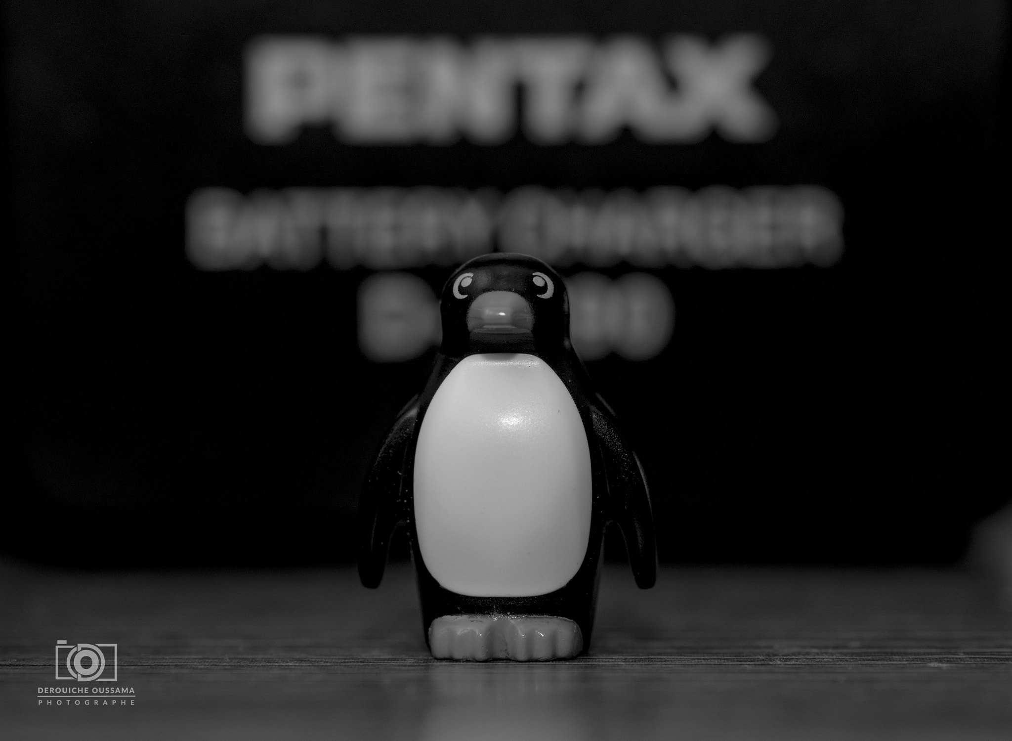 Pentax K-3 + Tamron SP AF 90mm F2.8 Di Macro sample photo. Legography pingouin <3 photography