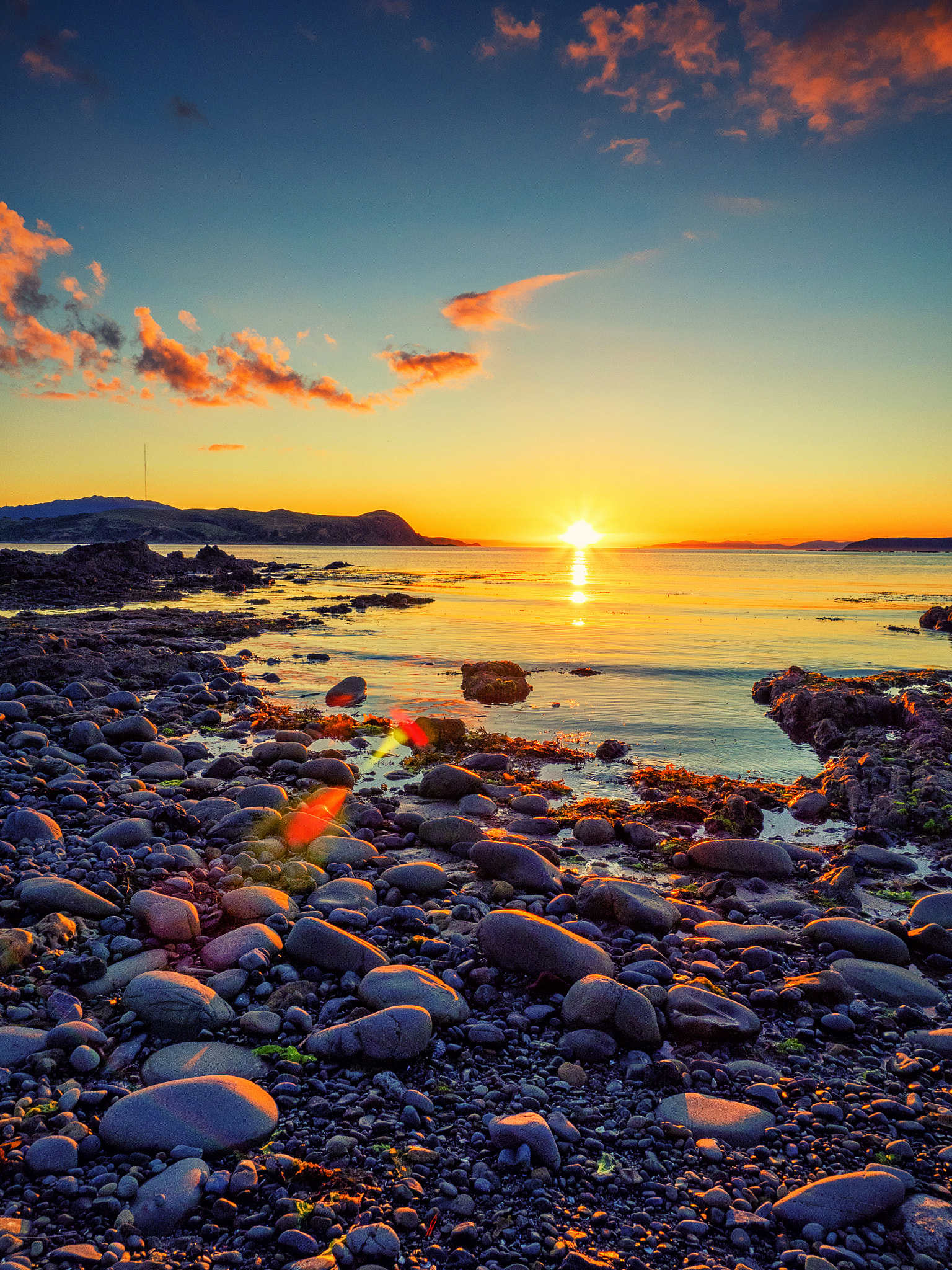 Olympus OM-D E-M1 sample photo. Golden plimmerton #2 photography