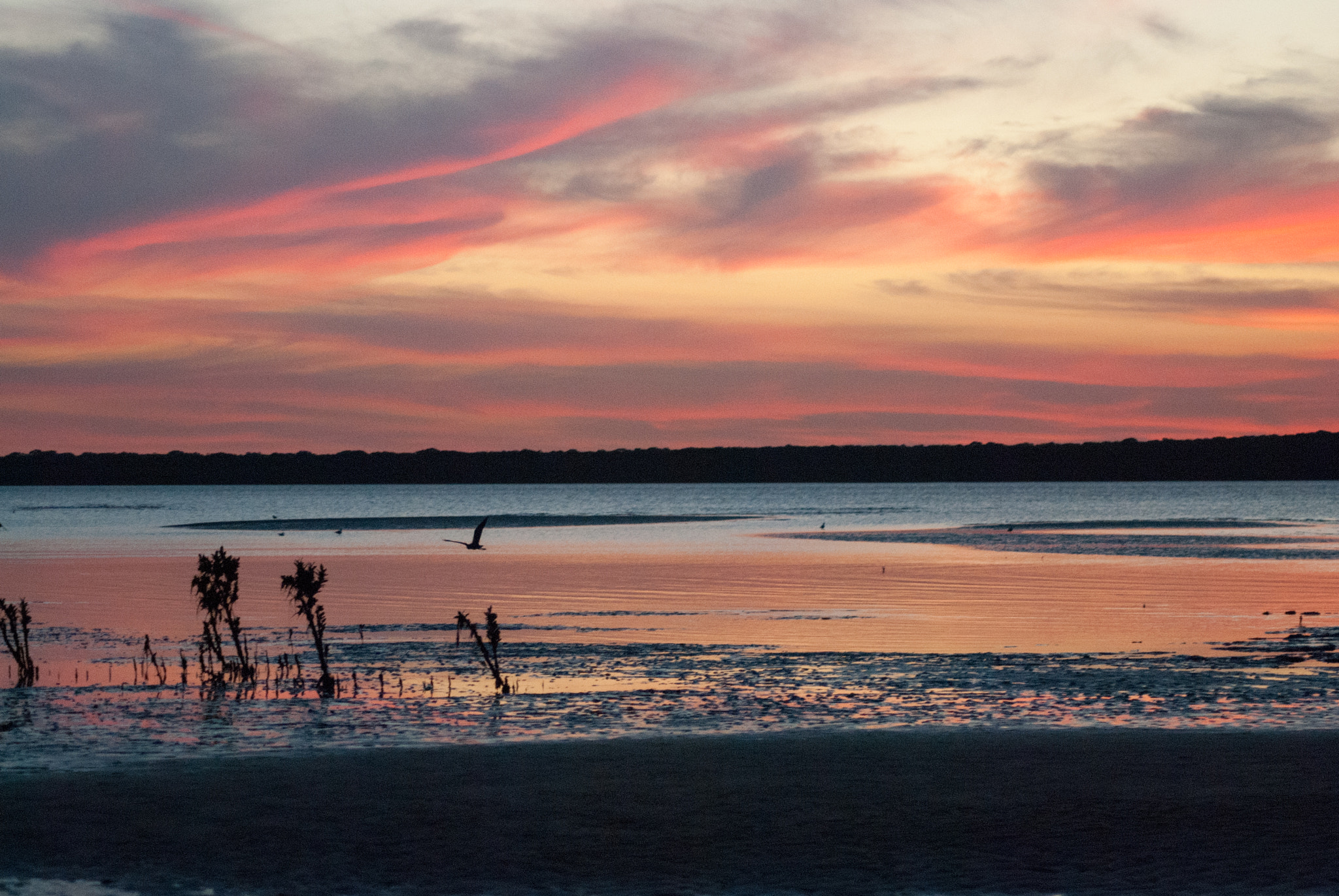 Nikon D80 sample photo. Sunset at jam jerrup #1 photography