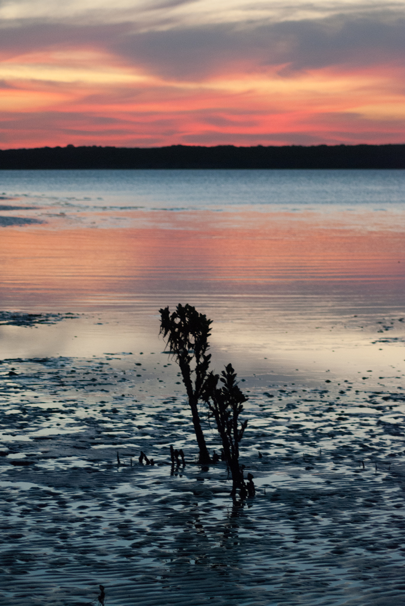 Nikon D80 sample photo. Sunset at jam jerrup #2 photography