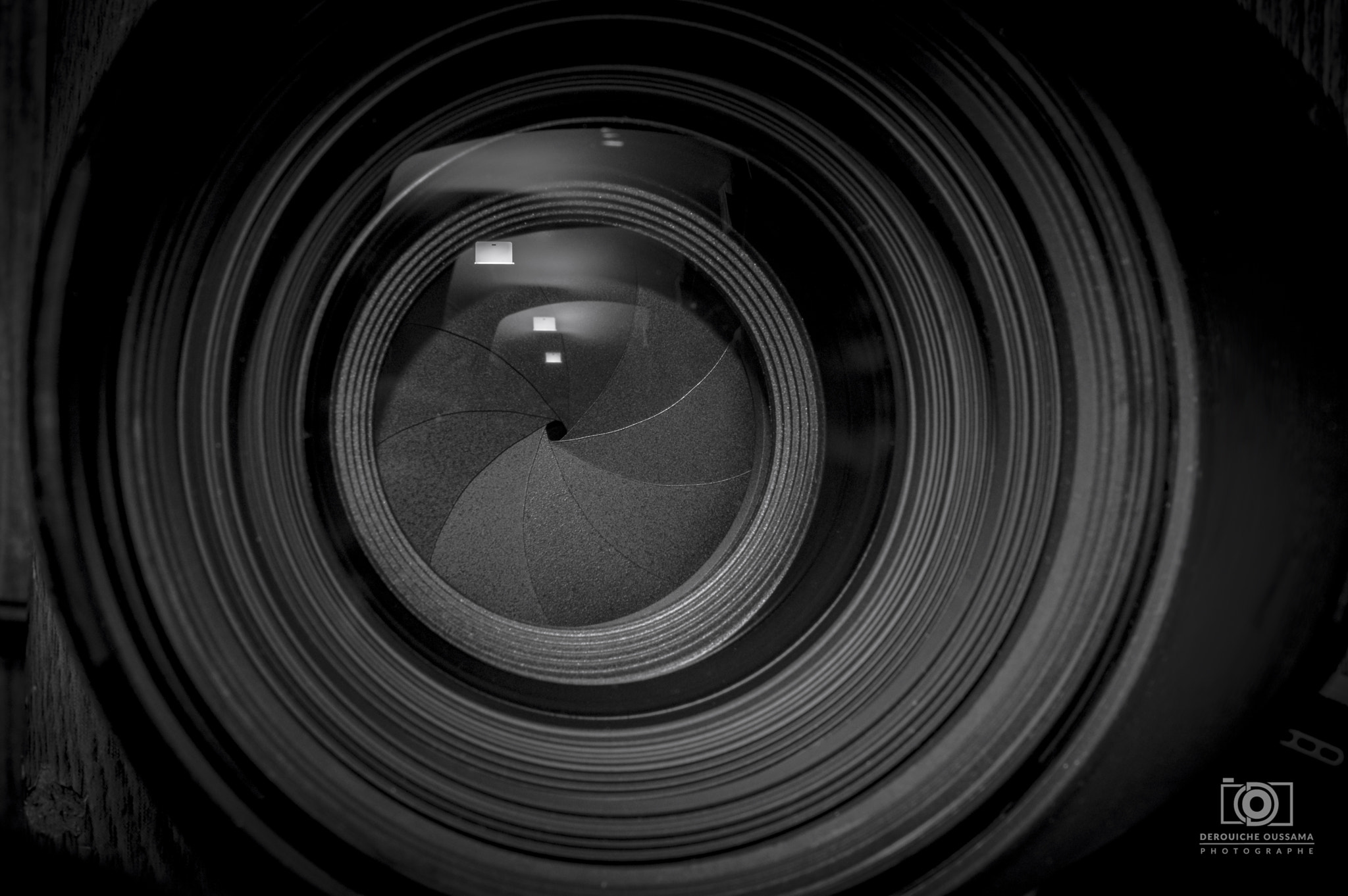 Pentax K-3 + Tamron SP AF 90mm F2.8 Di Macro sample photo. Lens sigma 50mm 1.4 for pentax ! photography