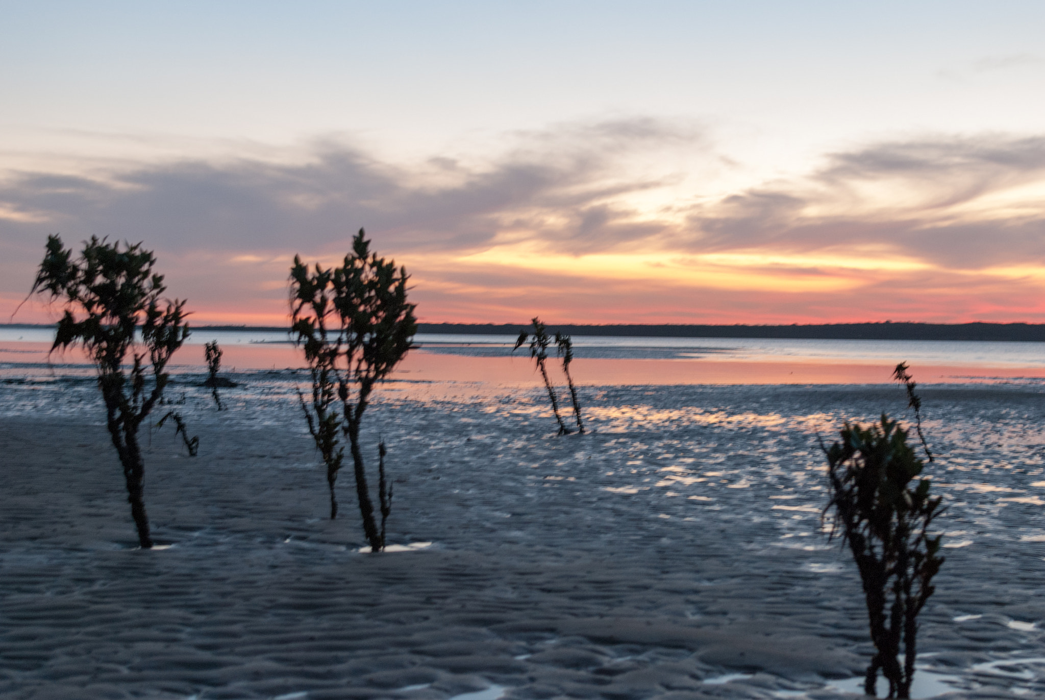 Nikon D80 + Nikon AF-S DX Nikkor 35mm F1.8G sample photo. Sunset at jam jerrup #3 photography