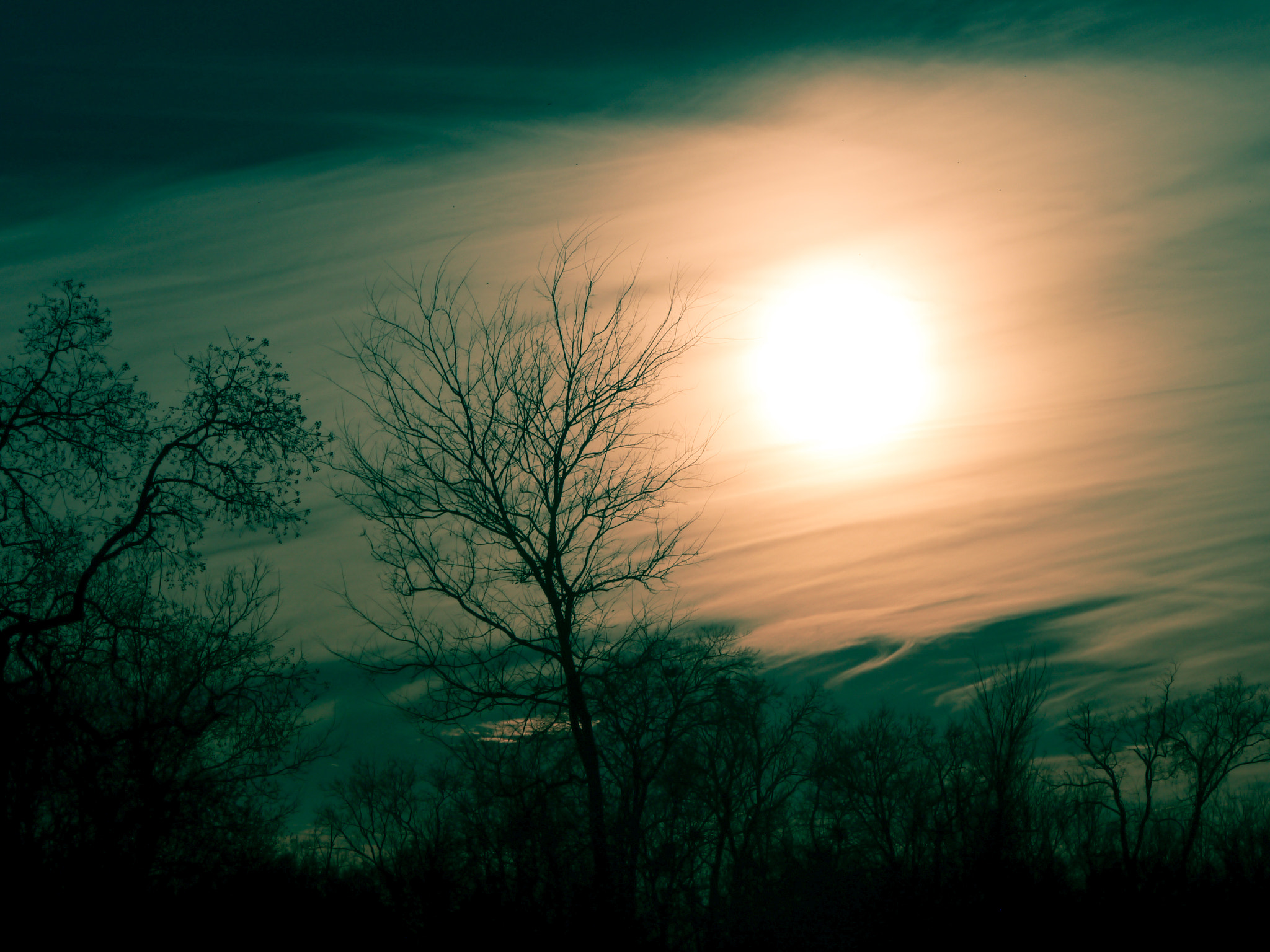 Panasonic Lumix G Vario 45-200mm F4-5.6 OIS sample photo. Midnight sun photography