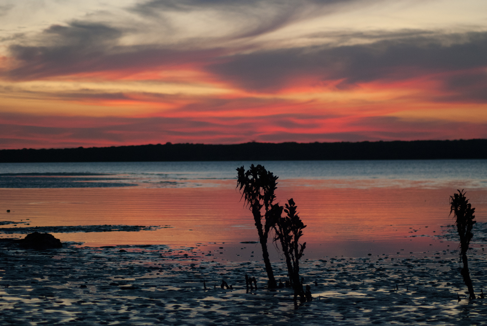 Nikon D80 sample photo. Sunset at jam jerrup #4 photography