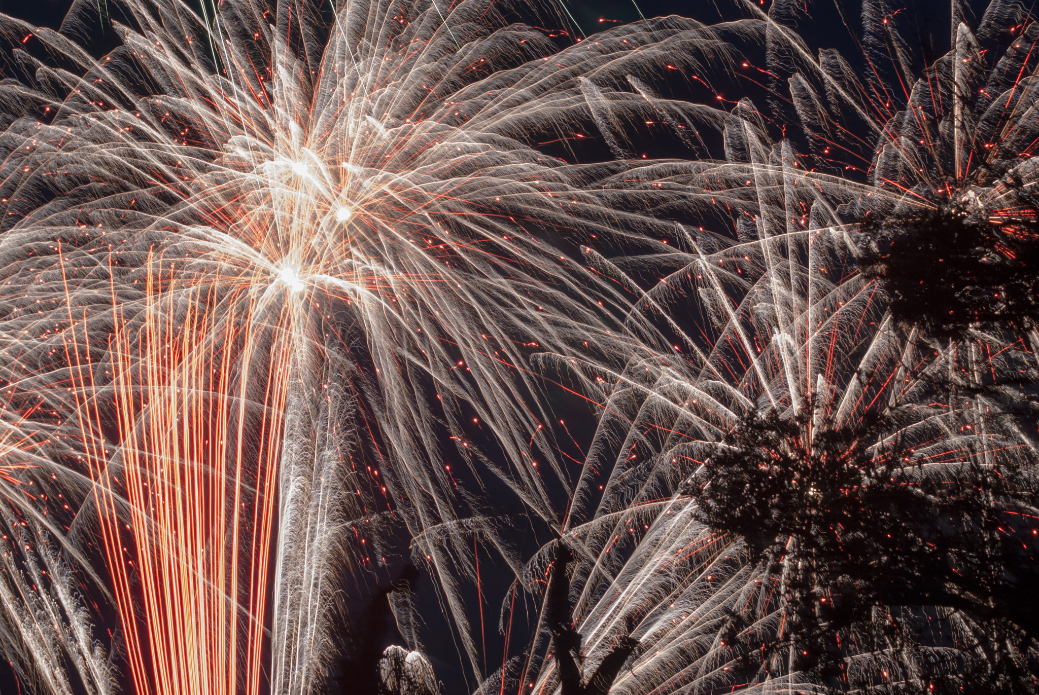Nikon D80 sample photo. New years eve fireworks at coronet bay photography