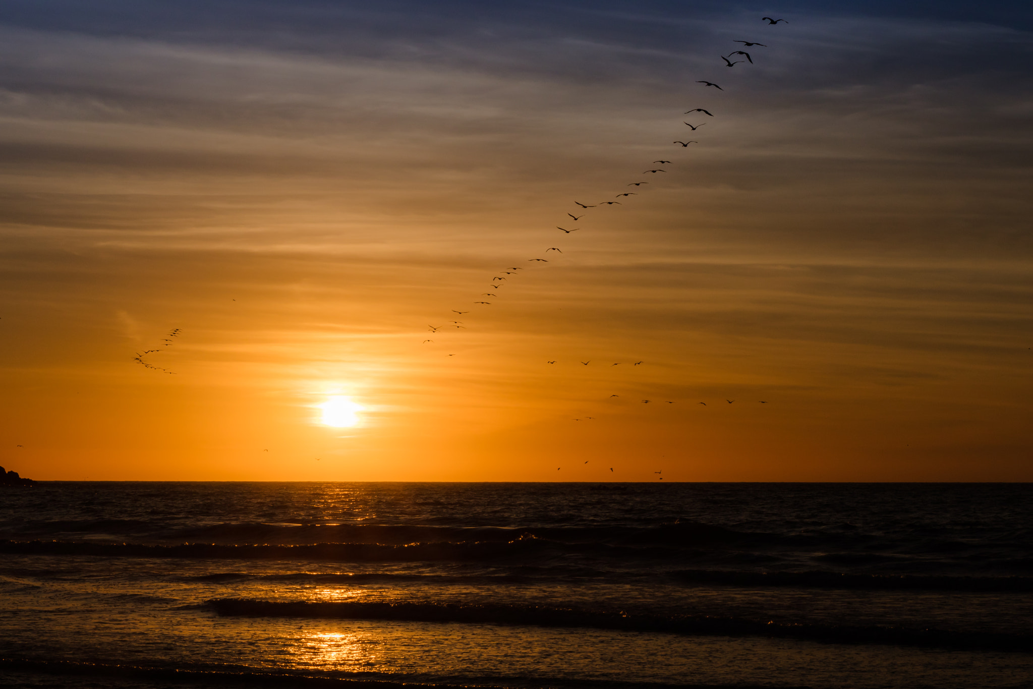 Canon EOS 5DS + Sigma 24-70mm F2.8 EX DG Macro sample photo. Sunset flock photography