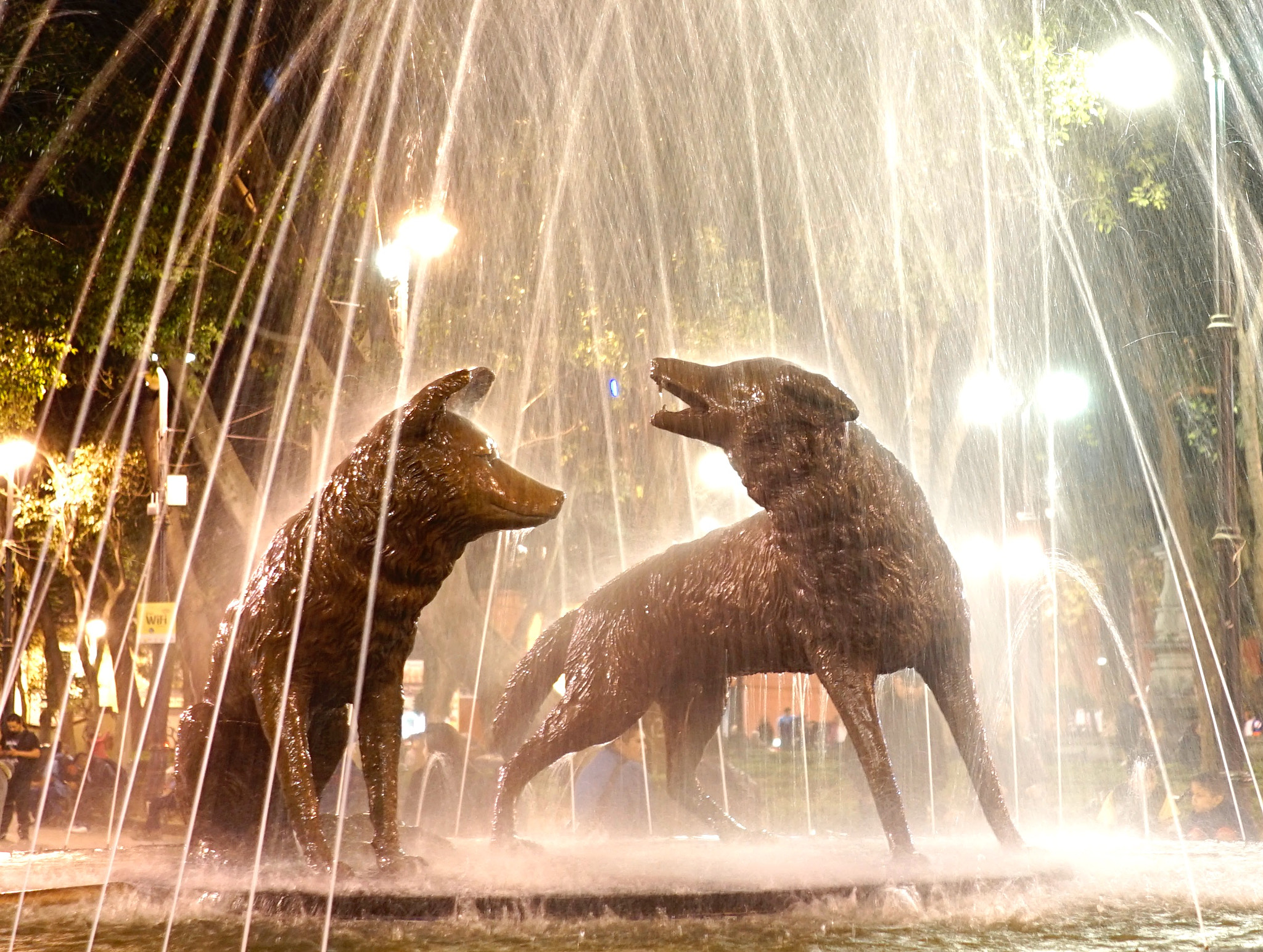 Sony a7 II + Sony FE 28mm F2 sample photo. A coyote fountain photography